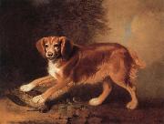 Benjamin Marshall A Celebrated spaniel,the property of colonel joliffe,in a landscape with a woodcock France oil painting artist
